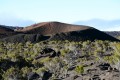 LA REUNION 6